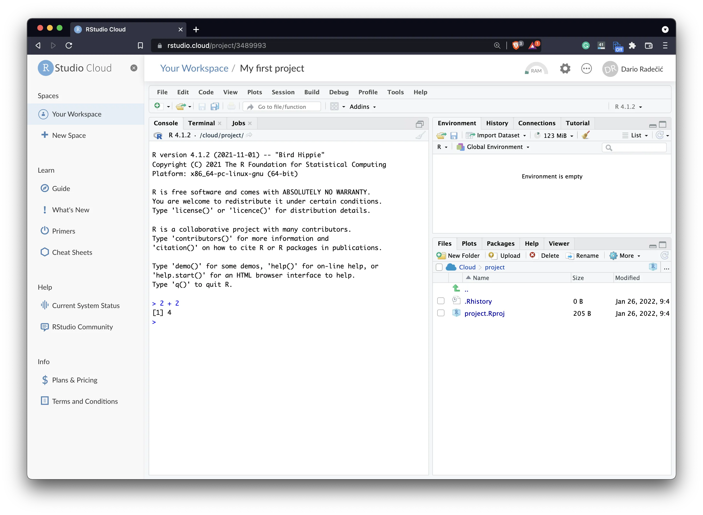 RStudio Cloud Interface